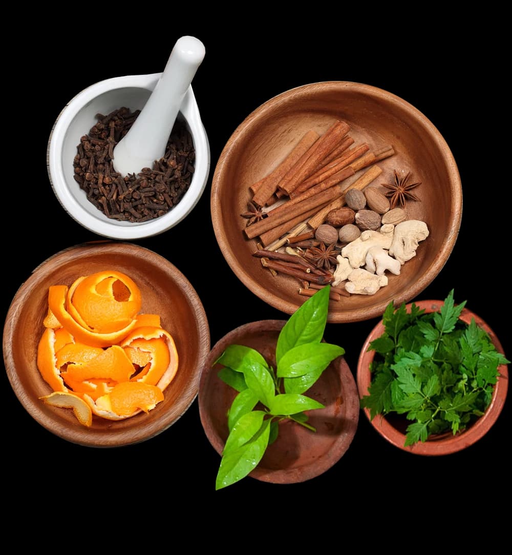 पथ्य-अपथ्य आहार - Ayurvedic Satvik Spices & Diet Ingredients
